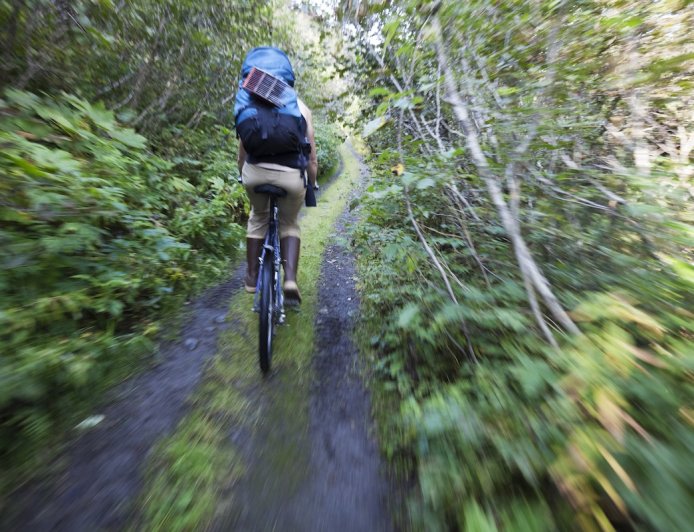 Brown Bear Attacks Mountain Biker on Trail in Alaska