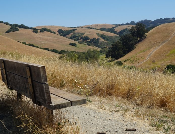 Officials Seek Help Finding Missing Hiker in Northern California