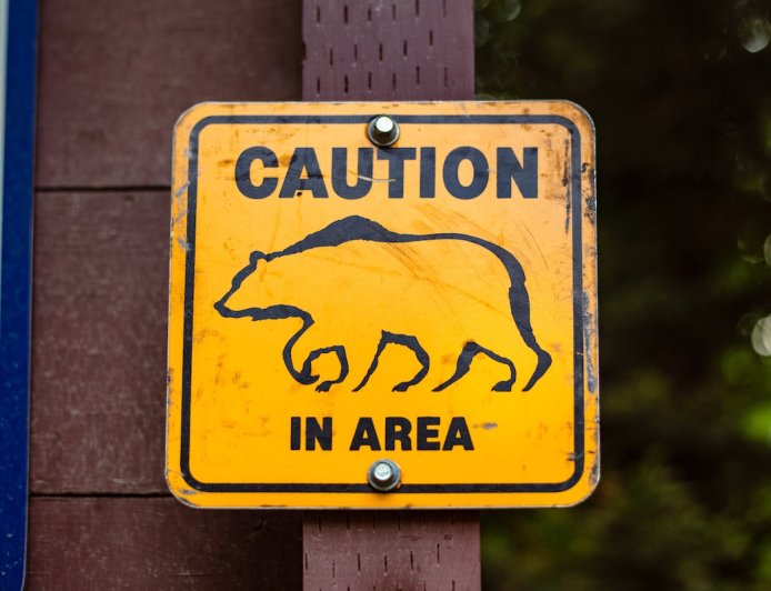 WATCH: Bears Break Into Locked RV at Campground