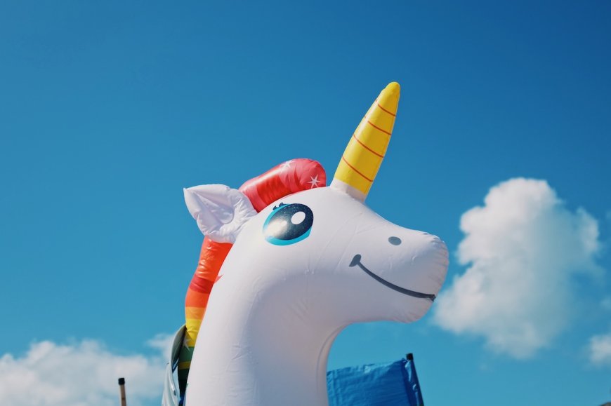 Man Jumps off Bridge With Unicorn Pool Floatie (Video)