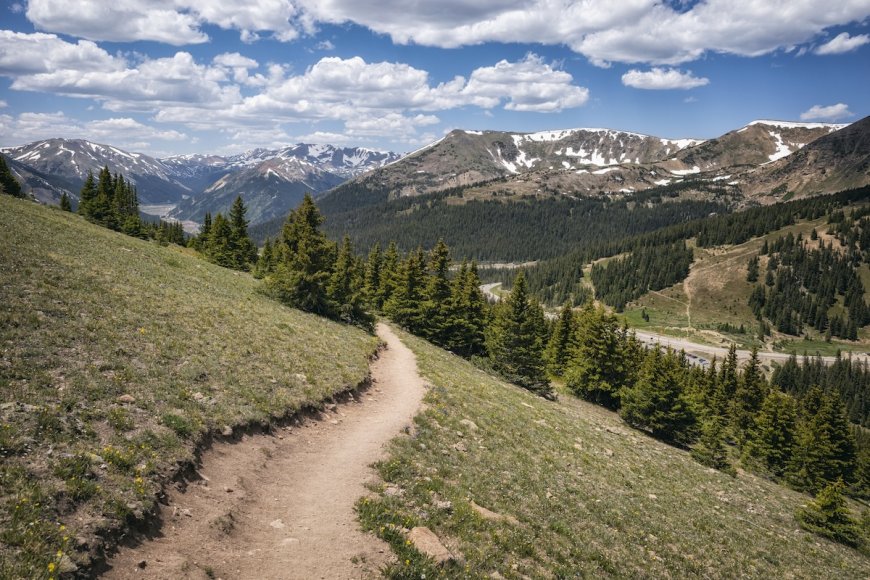 Can You Find the Missing Hiker in This Colorado SAR Photo?