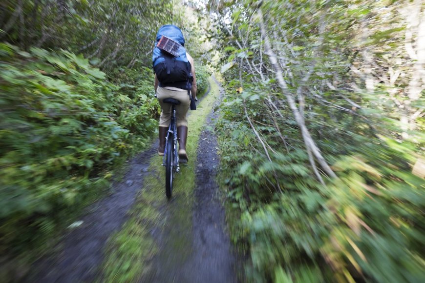 Brown Bear Attacks Mountain Biker on Trail in Alaska