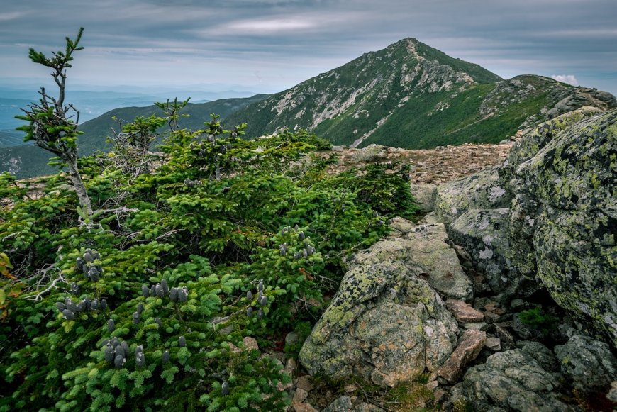 Hypothermic Hikers Rescued in New Hampshire’s White Mountains