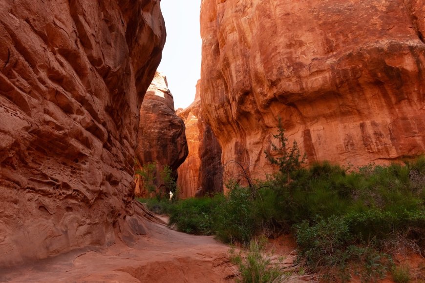 Tips for Top Utah Hikes: The Narrows and Fiery Furnace