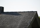 Homeowner Hears Scratching in Roof, and It’s Not What You Think