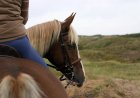 Horseback Rider Finds Speakers Playing Creepy Sounds on Trail