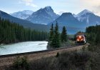 Grizzly Bears Dodge a Train in Banff National Park (Video)