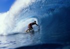 Epic Footage Shows Surfer and Dolphins in a Barrel Wave (Video)