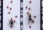 Speed Climber Emma Hunt Broke a World Climbing Record (Video)