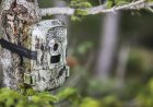 ‘He Walked STRAIGHT Into My Camera’: Buck Flaunts on Trail Cam