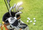 ‘Bear, Get Back Here!’: Bear Steals Golf Clubs in Hilarious Video