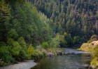 Forest-Service Employees Released From 12-Hour Hostage Situation
