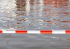 WATCH: Dangerous Flooding Carries Away Deer in Texas