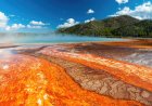 Tourists Risk Boiling at Yellowstone’s Grand Prismatic Spring