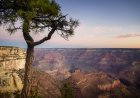 Missing 83-Year-Old Hiker Rescued in Grand Canyon National Park