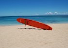 Fathers of Teen Lifeguard and Victim Speak out After Heroic Beach Rescue