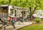 Camp Cooking in the Dog Days