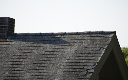 Homeowner Hears Scratching in Roof, and It’s Not What You Think