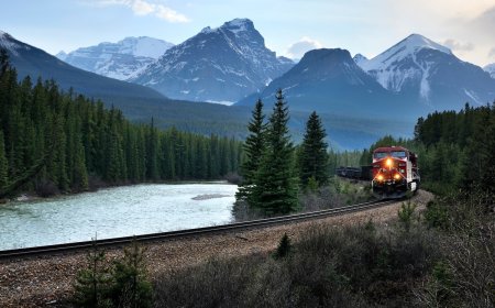 Grizzly Bears Dodge a Train in Banff National Park (Video)