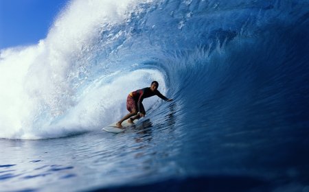 Epic Footage Shows Surfer and Dolphins in a Barrel Wave (Video)