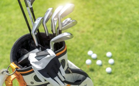‘Bear, Get Back Here!’: Bear Steals Golf Clubs in Hilarious Video