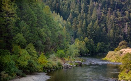 Forest-Service Employees Released From 12-Hour Hostage Situation