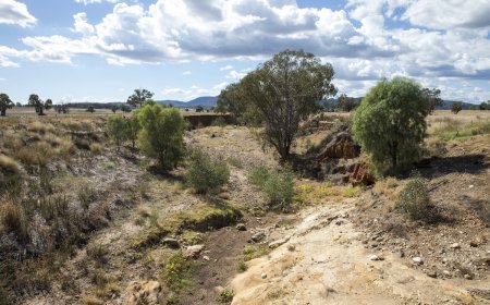 Five Family Members Die in Tragic Flash Flood