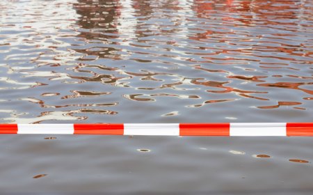 WATCH: Dangerous Flooding Carries Away Deer in Texas