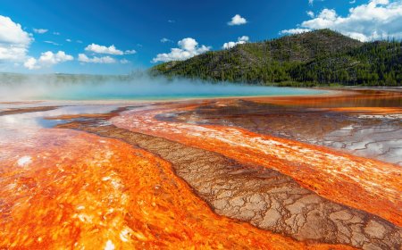 Tourists Risk Boiling at Yellowstone’s Grand Prismatic Spring