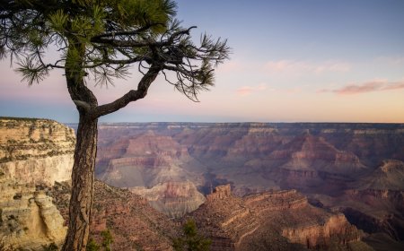 Missing 83-Year-Old Hiker Rescued in Grand Canyon National Park