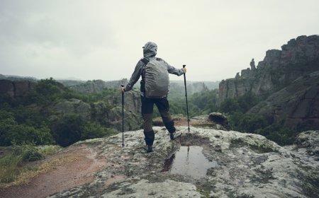 ‘Freak Accident’: Hiker Impaled by His Own Trekking Pole