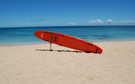 Fathers of Teen Lifeguard and Victim Speak out After Heroic Beach Rescue
