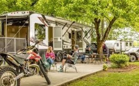 Camp Cooking in the Dog Days