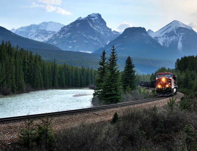 Grizzly Bears Dodge a Train in Banff National Park (Video)