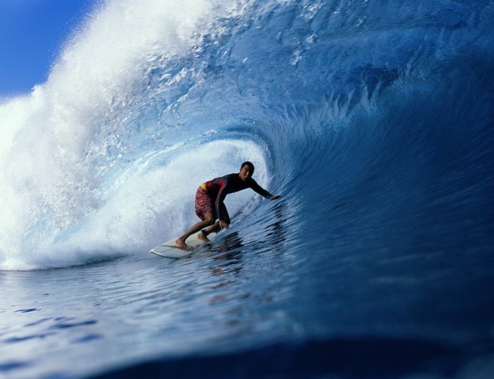 Epic Footage Shows Surfer and Dolphins in a Barrel Wave (Video)