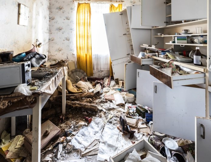 Bear Leaves Home in Complete Disarray (See Damage)