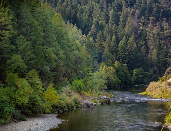 Forest-Service Employees Released From 12-Hour Hostage Situation