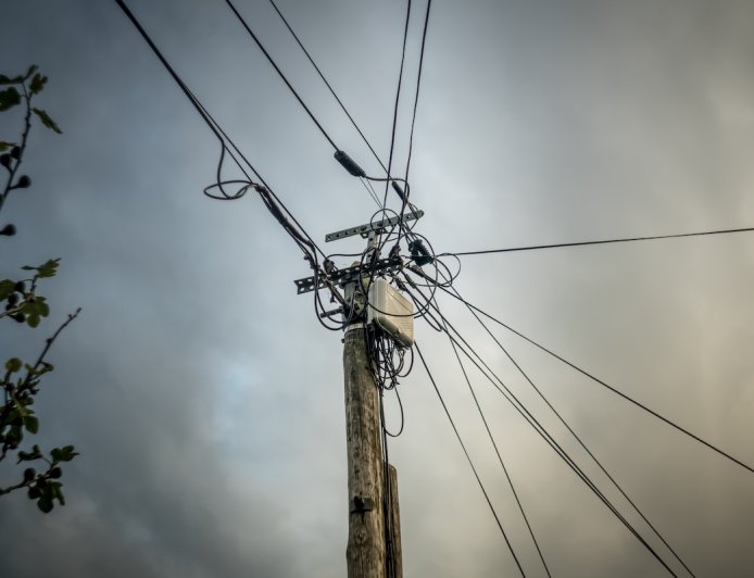 Bear Stuck on New Mexico Power Pole Dies by Electrocution