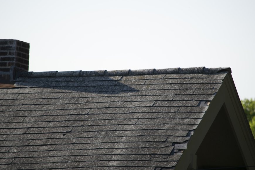 Homeowner Hears Scratching in Roof, and It’s Not What You Think
