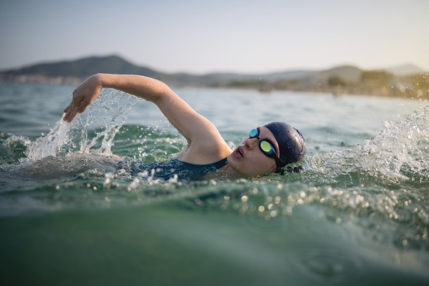 Woman Just Set out to Swim the Entire Coast of California
