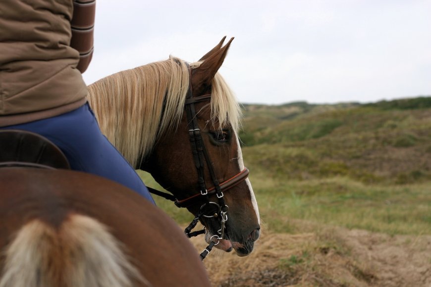 Horseback Rider Finds Speakers Playing Creepy Sounds on Trail
