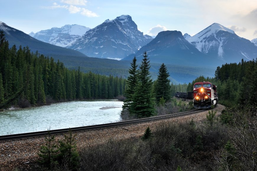 Grizzly Bears Dodge a Train in Banff National Park (Video)