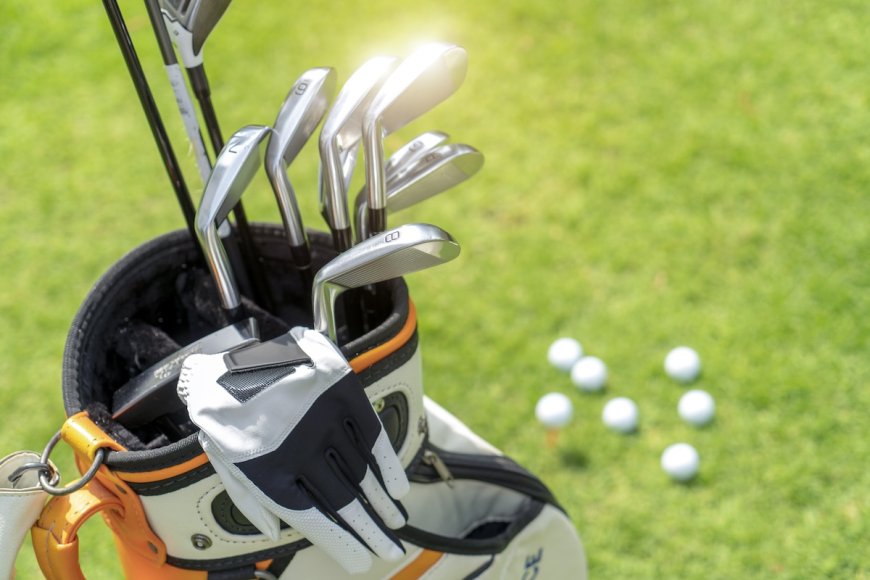 ‘Bear, Get Back Here!’: Bear Steals Golf Clubs in Hilarious Video