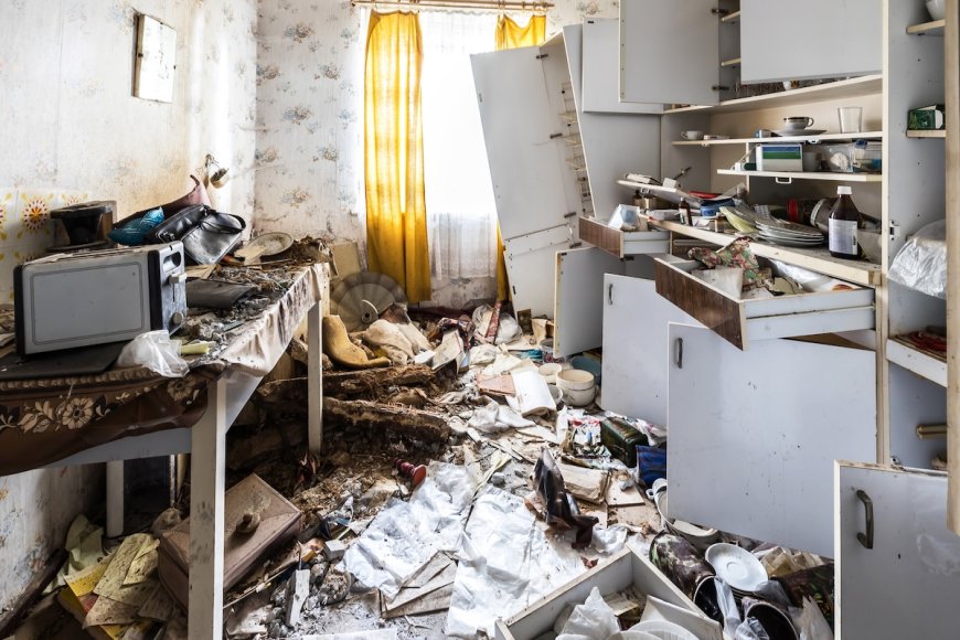 Bear Leaves Home in Complete Disarray (See Damage)
