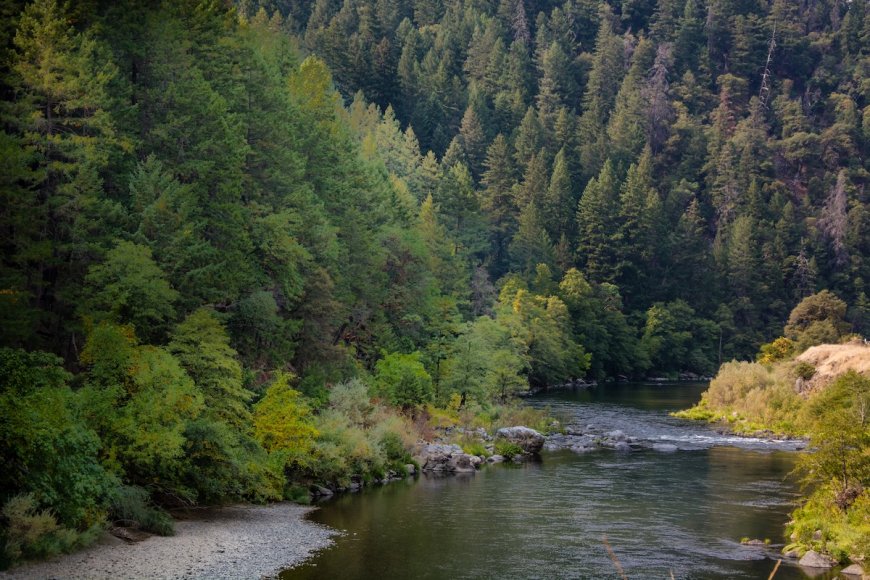 Forest-Service Employees Released From 12-Hour Hostage Situation