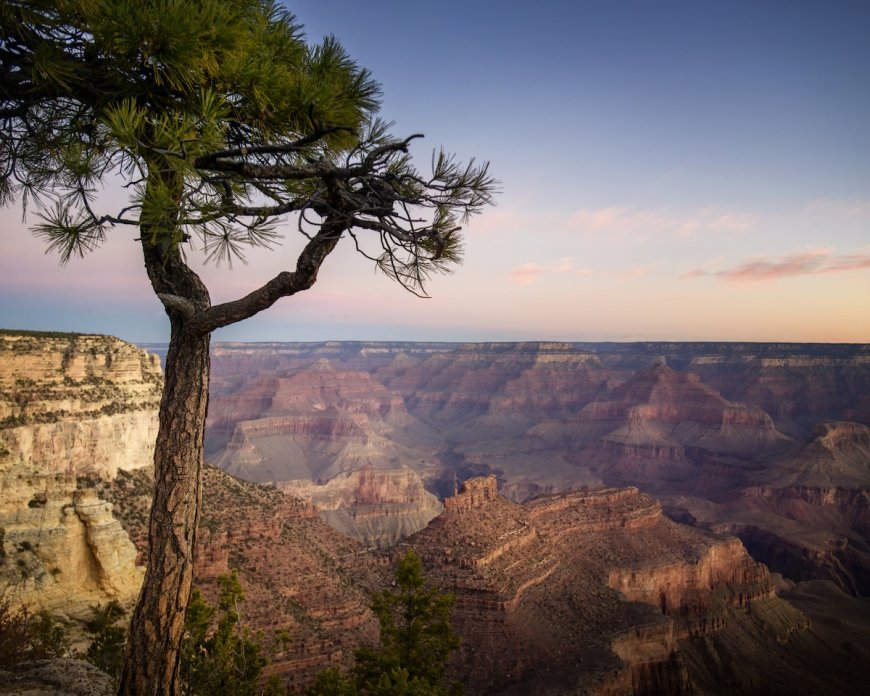 Missing 83-Year-Old Hiker Rescued in Grand Canyon National Park