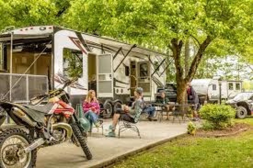 Camp Cooking in the Dog Days