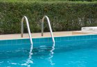 Black Bear Plays With Mermaid Dolls in Backyard Pool (Video)