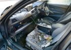 300-Pound Bear Dies After Being Locked in a Vehicle for Days