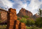 Massive Rock Fall in Zion National Park Leads to Road Closure